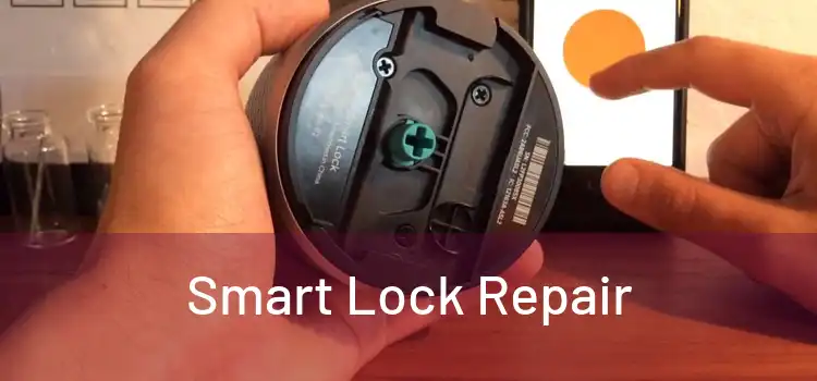 Smart Lock Repair